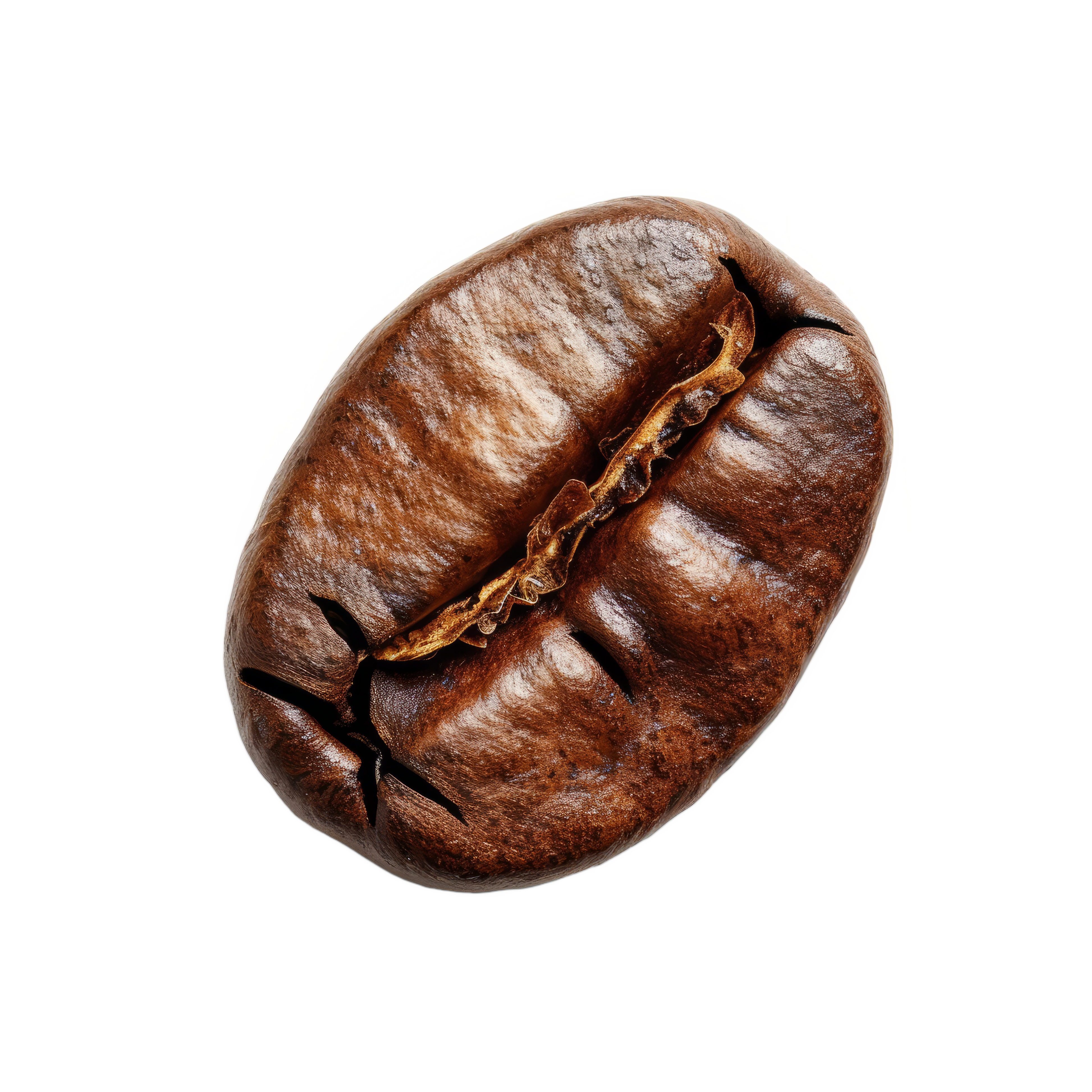 Coffee Bean